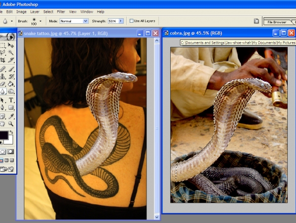 Creation of Snake Charmer: Step 1